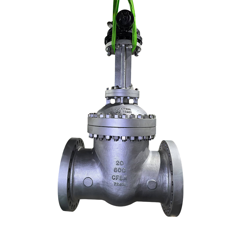 Lift Check Valve