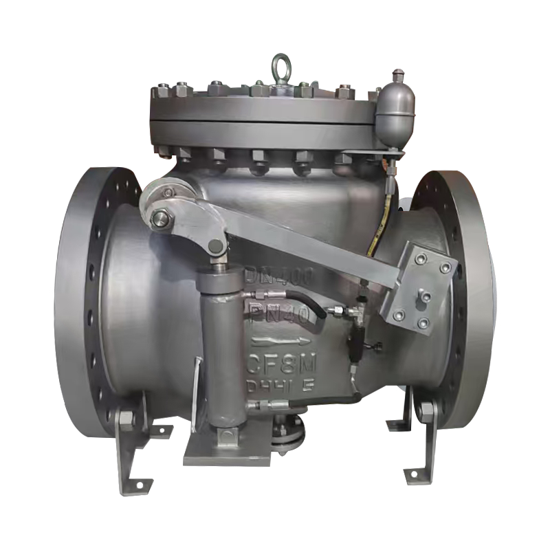 Swing Check Valve
